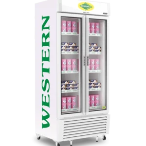 Double Door Visi Cooler/Freezer